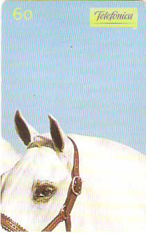 SP-0232M - Andaluz - 3